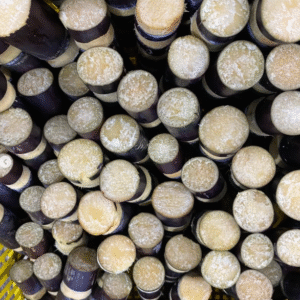 Frozen Sugar Cane for Sale – Natural and Nutritious Treat for Animals