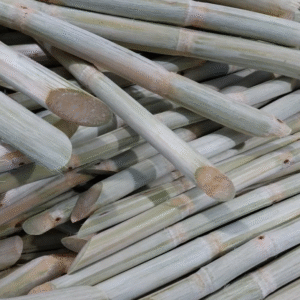Frozen Sugar Cane for Sale in Netherlands – Premium Natural Treats for Animals
