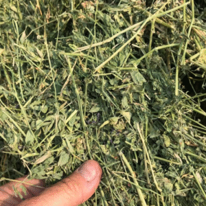 Hay For Sale Near Me – Premium Livestock and Horse Feed