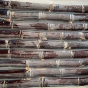 Sugar Cane for Sale in China – Natural and Nutritious Treat for Animals