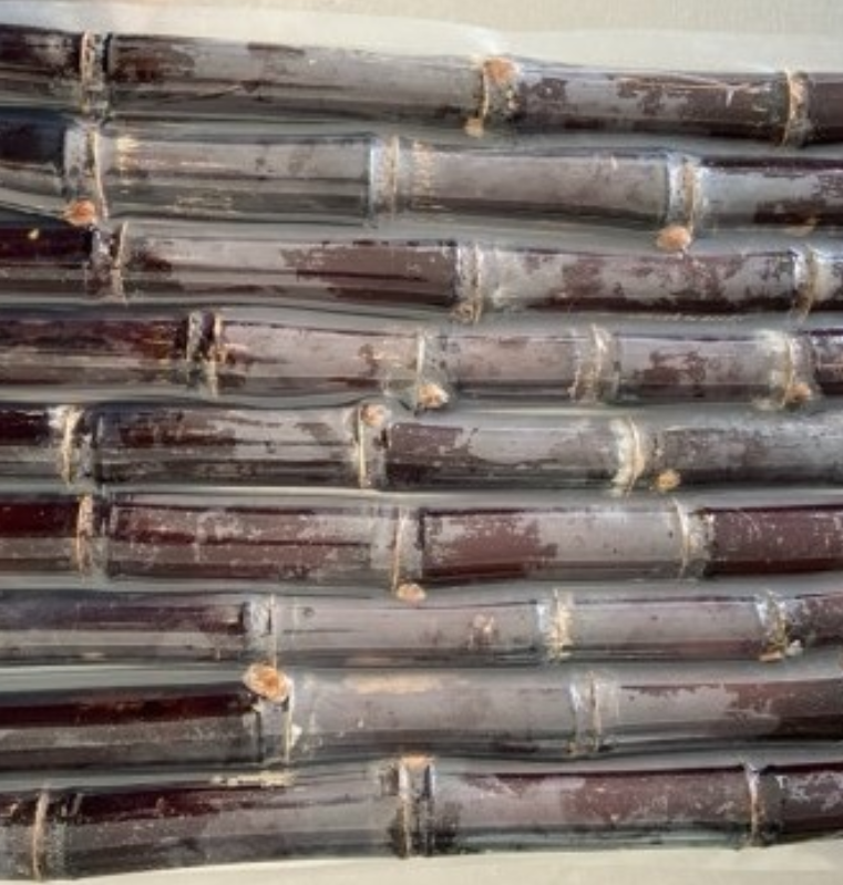 Sugar Cane for Sale in China – Natural and Nutritious Treat for Animals