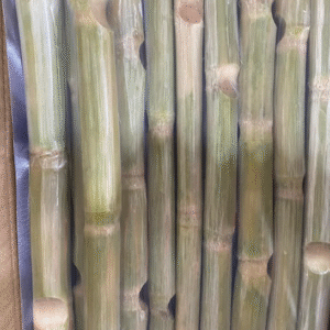 Sugar Cane for Sale in USA – Natural and Nutritious Treat for Animals